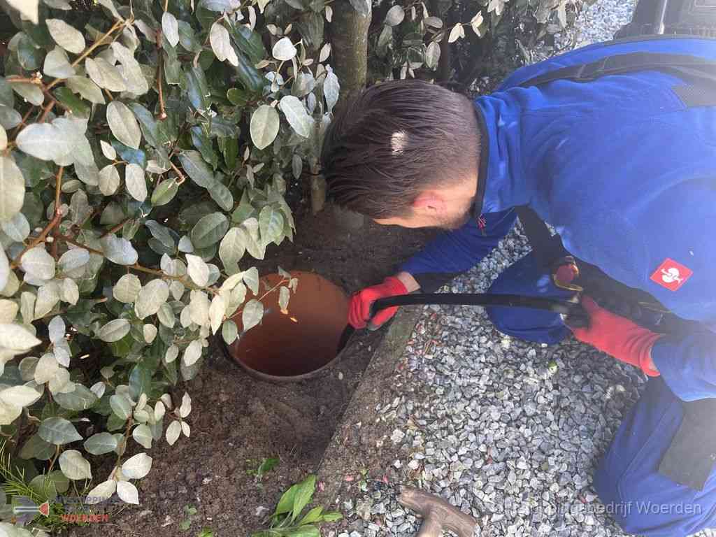 Rioolvliegjes Woerden
